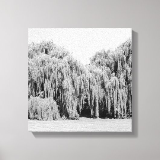 B&W treurwilgen Canvas Afdruk (Voorkant)