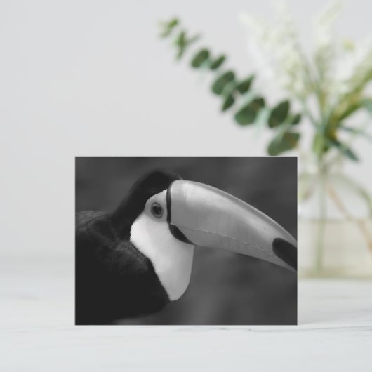 B&W Tucano-vogel Briefkaart (Staand voorkant)