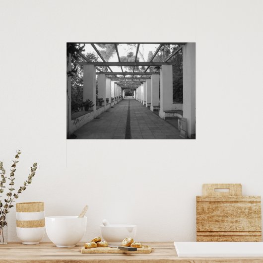 B&W-tuin Poster (Keuken)