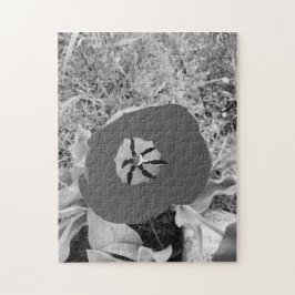 b + w tulp legpuzzel