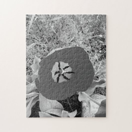 b + w tulp legpuzzel (Verticaal)