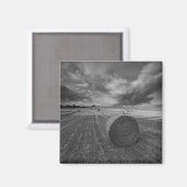B&W-veld voor gerst Magneet (Voorkant / Achterkant)