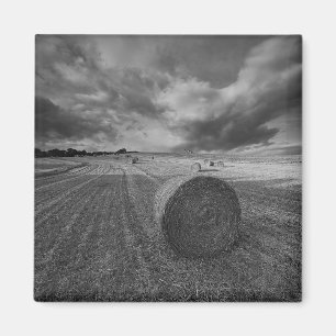 B&W-veld voor gerst Magneet
