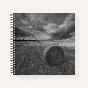 B&W-veld voor gerst Notitieboek