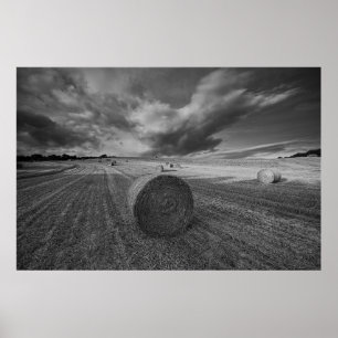 B&W-veld voor gerst Poster