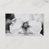 B/W Visitekaartje voor blokfotografie (Achterkant)