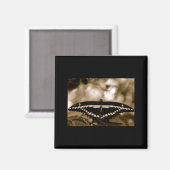 B/W vlindermagneet Magneet (Voorkant / Achterkant)
