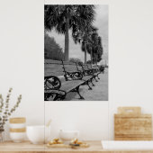 B/W Waterfront Benches Poster (Keuken)