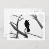 B&W Winter Raven Edgar Allan Poe Briefkaart (Voorkant / Achterkant)