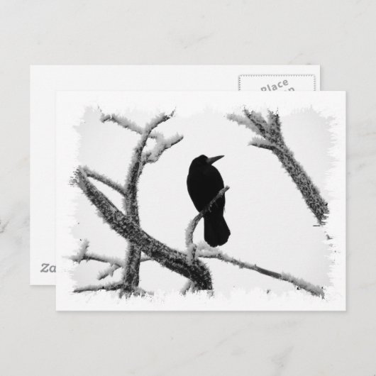 B&W Winter Raven Edgar Allan Poe Briefkaart (Voorkant / Achterkant)