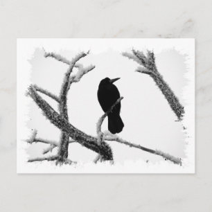 B&W Winter Raven Edgar Allan Poe Briefkaart