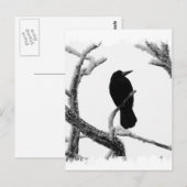 B&W Winter Raven Edgar Allan Poe Briefkaart (Voorkant / Achterkant)