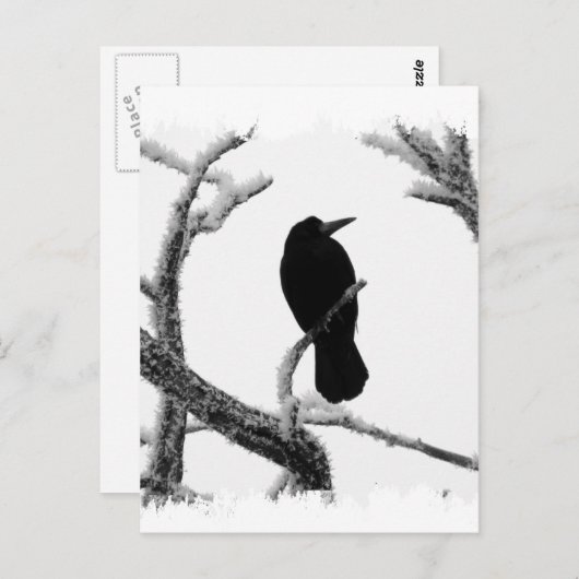 B&W Winter Raven Edgar Allan Poe Briefkaart (Voorkant / Achterkant)