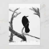 B&W Winter Raven Edgar Allan Poe Briefkaart (Voorkant)
