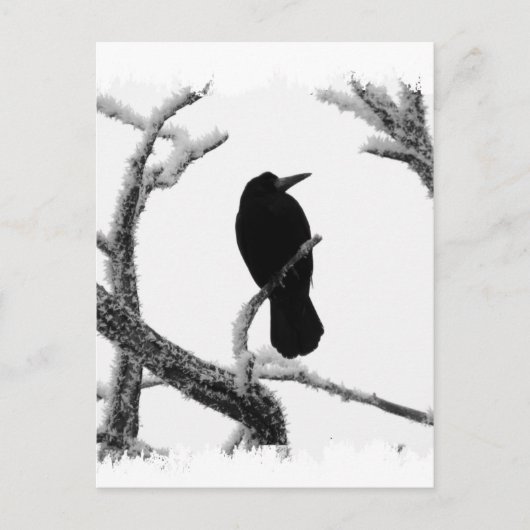 B&W Winter Raven Edgar Allan Poe Briefkaart (Voorkant)