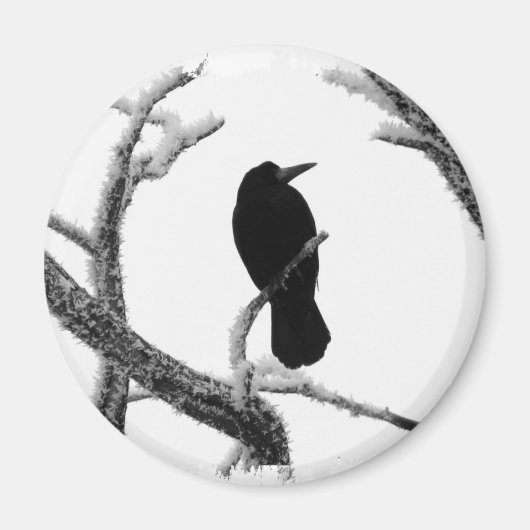 B&W Winter Raven Edgar Allan Poe Magneet (Voorkant)