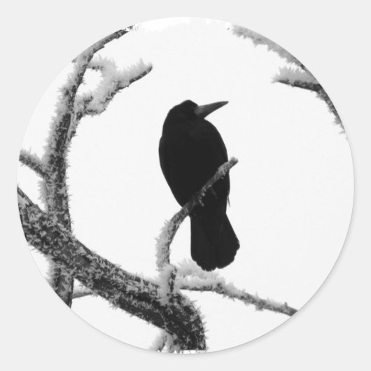 B&W Winter Raven Edgar Allan Poe Ronde Sticker (Voorkant)