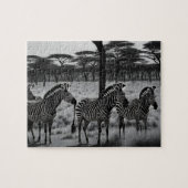 B W Zebra olieverf, legpuzzel (Horizontaal)