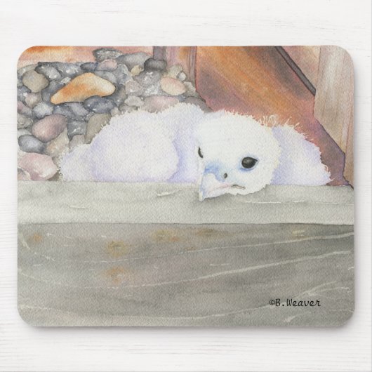 B.Weaver Orion design Mousepad Muismat (Voorkant)