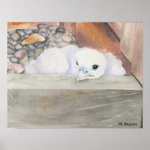 B.Weaver Orion-ontwerp 14-inch x 11-inch Poster