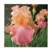 BA- Peach Iris Floral Art Tile Tegeltje (Voorkant)
