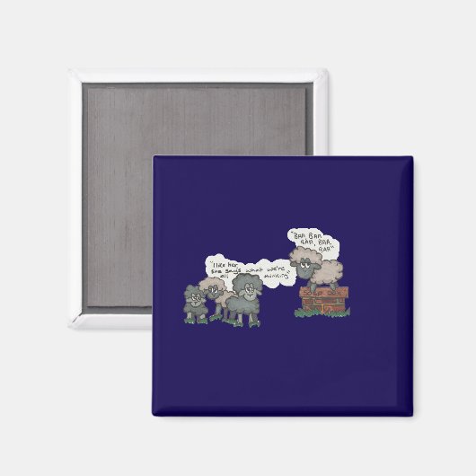 Baa, Baa, Baa Magneet (Voorkant / Achterkant)