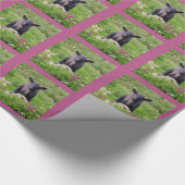 Baa Baa Black Sheep Inpakpapier (Hoek)
