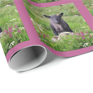 Baa Baa Black Sheep Inpakpapier