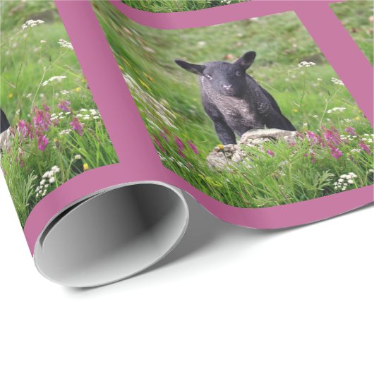 Baa Baa Black Sheep Inpakpapier (Rol Hoek)