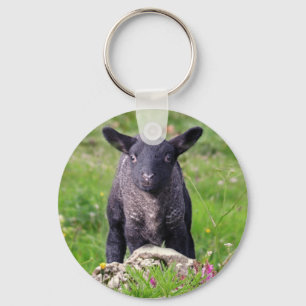 Baa-Baa Black Sheep Keyring Sleutelhanger
