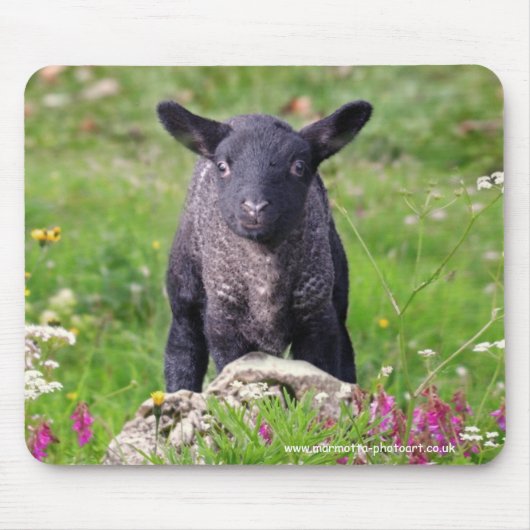 Baa-Baa Black Sheep Mousemat Muismat (Voorkant)