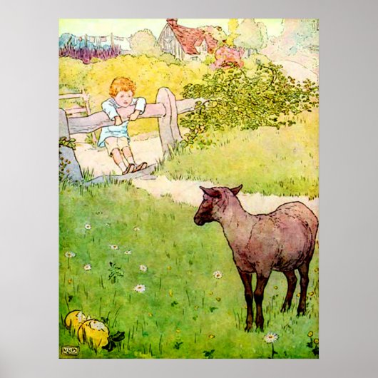 Baa Baa Black Sheep Poster (Voorkant)