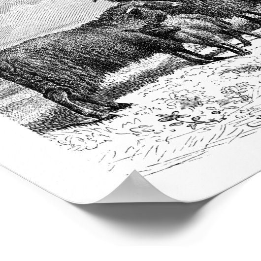 Baa, Baa, Zwarte Schapenkalk Poster (Hoek)