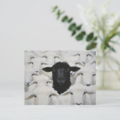 Baa-tle of Individuality Briefkaart (Staand voorkant)
