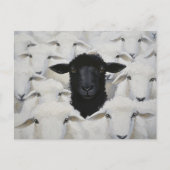 Baa-tle of Individuality Briefkaart (Voorkant)