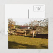 Baaa! Briefkaart (Voorkant / Achterkant)