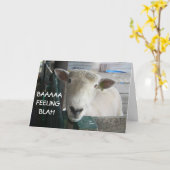 BAAAAA-GEVOEL BLAH- WORD GOED KAART (Gele Bloem)