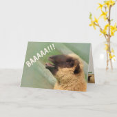 BAAAAAAA Sheep krijgt succes Kaart (Gele Bloem)