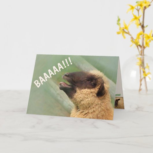 BAAAAAAA Sheep krijgt succes Kaart (Gele Bloem)