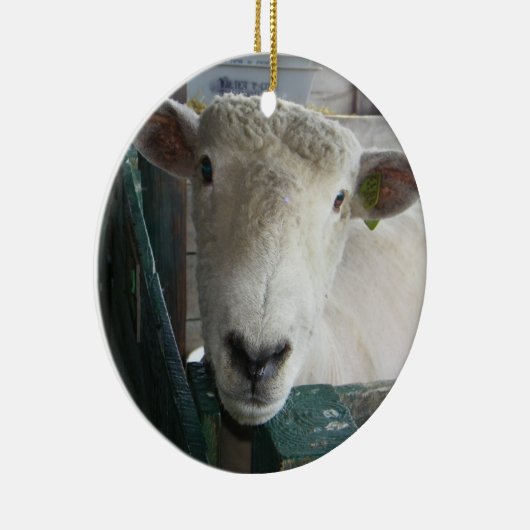 BAAAAAAAAAAAAAA SHEEP ORNAMENT (Rechts)