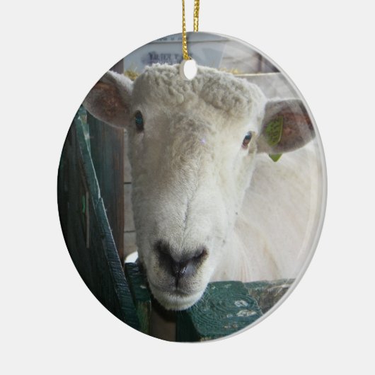 BAAAAAAAAAAAAAA SHEEP ORNAMENT (Links)