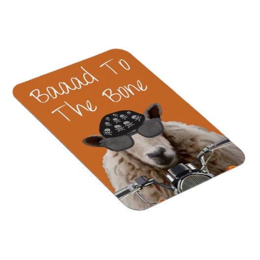 Baaad naar bot 2 magneet (Rechterzijde)