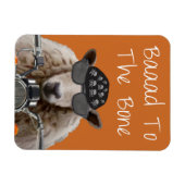 Baaad naar bot 2 magneet (Horizontaal)