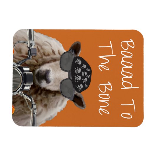 Baaad naar bot 2 magneet (Horizontaal)