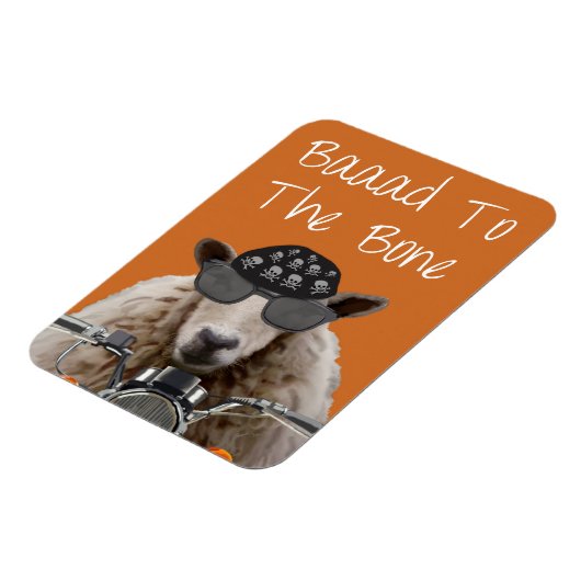 Baaad naar bot 2 magneet (Linkerzijde)