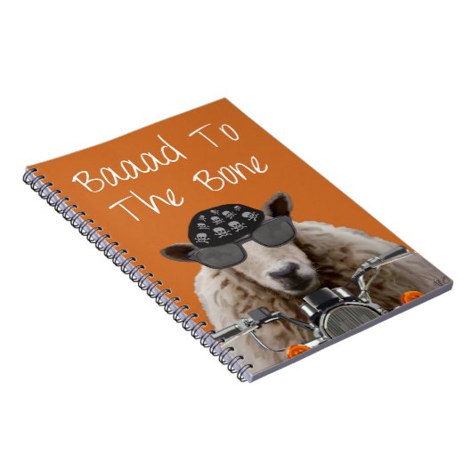 Baaad naar bot 2 notitieboek (Rechterzijde)