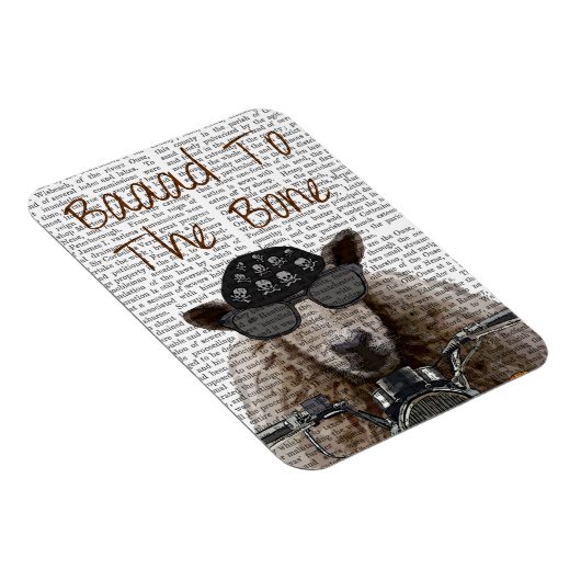 Baaad naar de botte magneet (Rechterzijde)