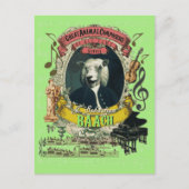Baach Funny Sheep Great Animal Composer Bach Briefkaart (Voorkant)