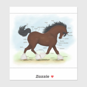 Baai Clydesdale Paard Anatomie Grafiek Educatief Sticker