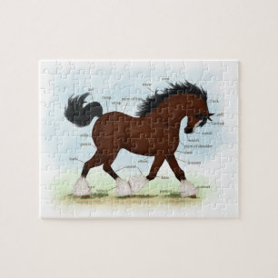 Baai Clydesdale Paarden Anatomische Grafiek Onderw Legpuzzel
